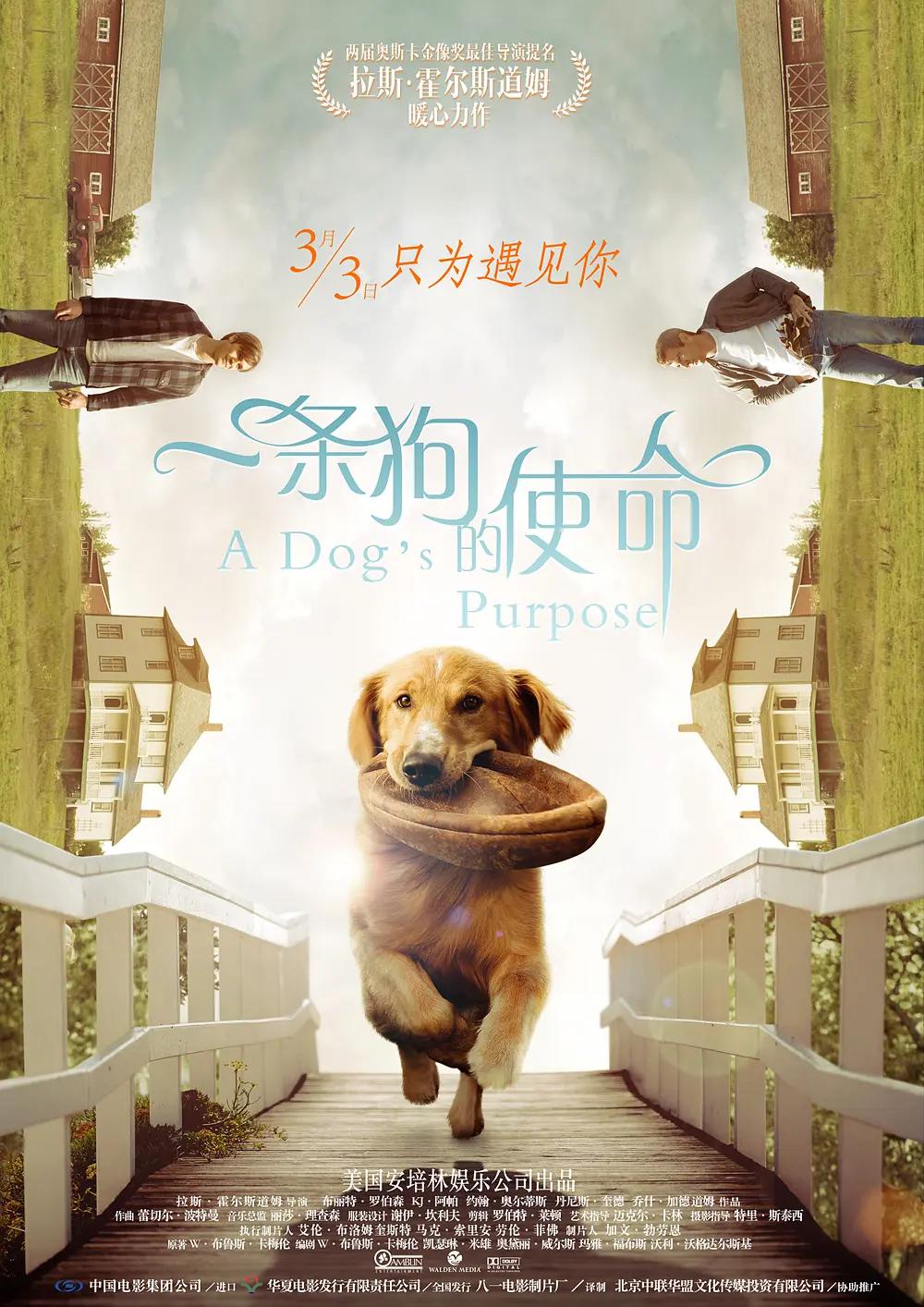 京东影业jd008苏小小(🏞)