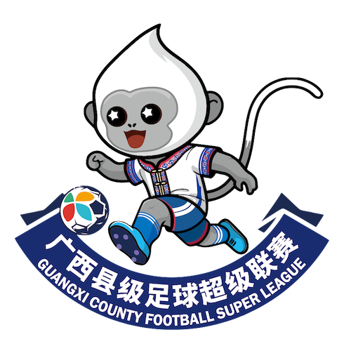 广西县超 北海市海城区队4-1河池市宜州区队20260411
