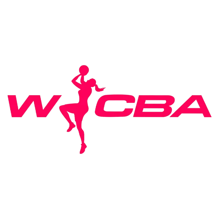 《WCBA1/4决赛 山东赤水河酒vs东莞新彤盛20250310》全集高清完整版在线观看与剧情解析