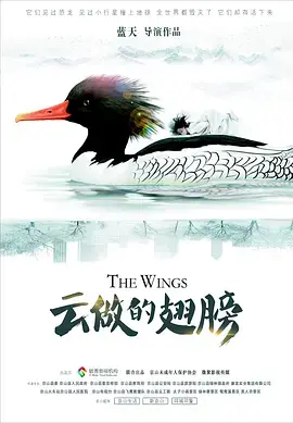 《云做的翅膀》全集高清完整版在线观看与剧情解析