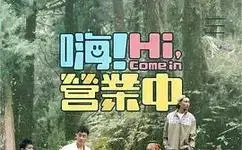 《嗨！营业中第四季》全集高清完整版在线观看与剧情解析