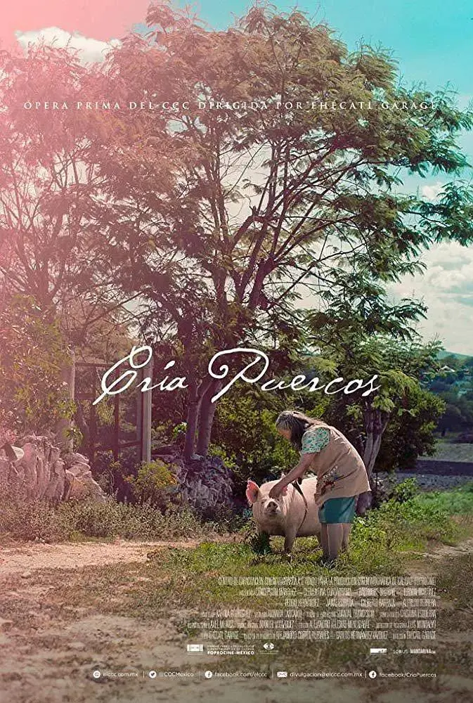 《奶奶养的猪》全集高清完整版在线观看与剧情解析