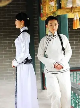 《宅门里的女人们》全集高清完整版在线观看与剧情解析