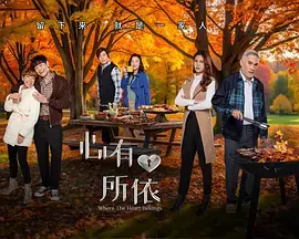 《心有所依》全集高清完整版在线观看与剧情解析