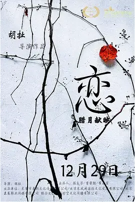 《恋2016》全集高清完整版在线观看与剧情解析