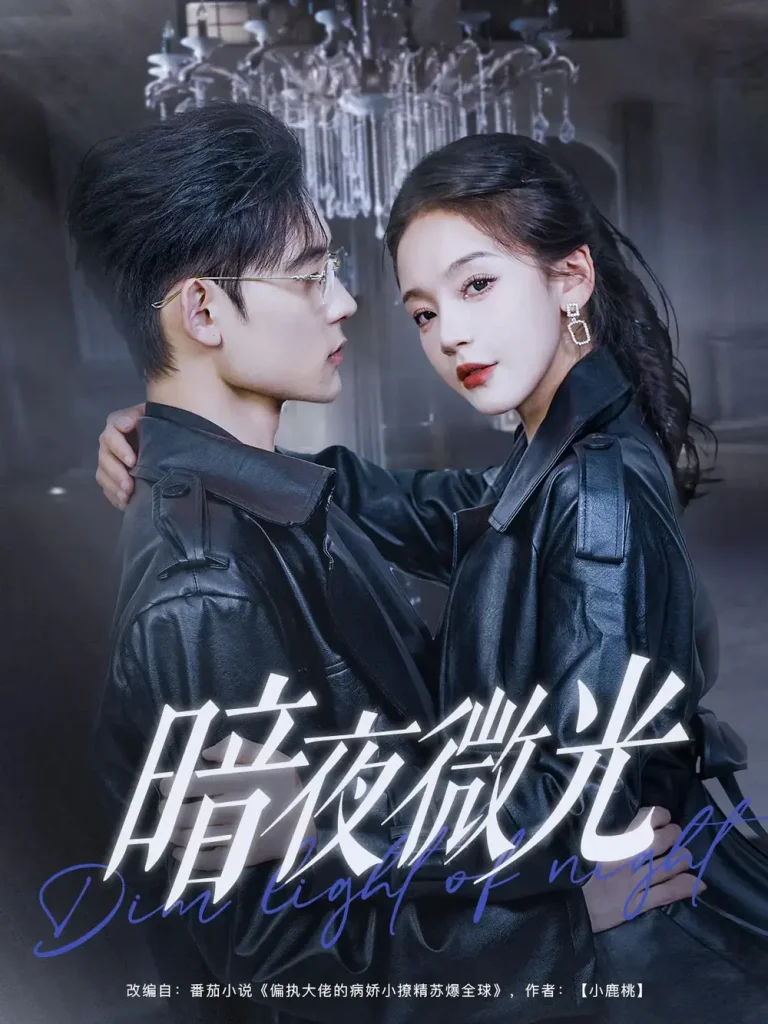 《暗夜微光》全集高清完整版在线观看与剧情解析