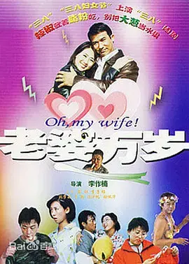 《老婆万岁》全集高清完整版在线观看与剧情解析