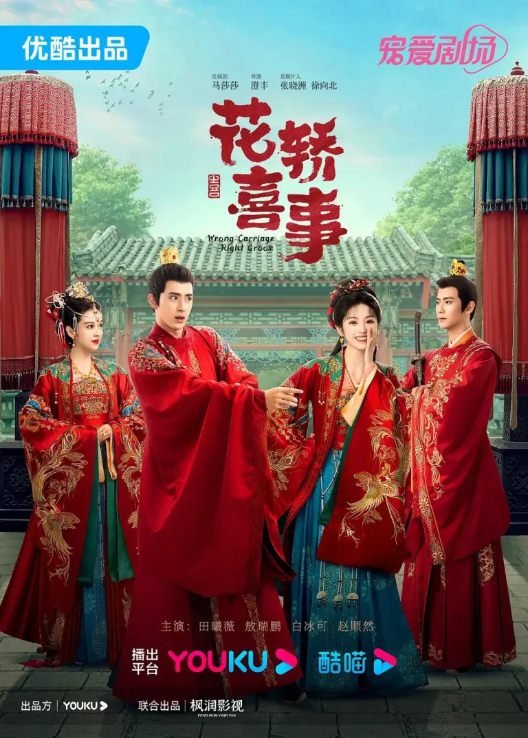 《花轿喜事》全集高清完整版在线观看与剧情解析