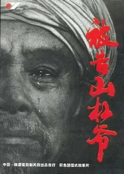 《被告山杠爷[电影解说]》全集高清完整版在线观看与剧情解析