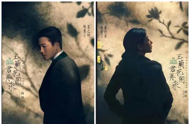 杨紫主演《玉兰花开君再来》官宣央视八套与腾讯视频联播 | 情报图